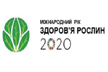 Міжнародний рік здоров’я рослин – 2020